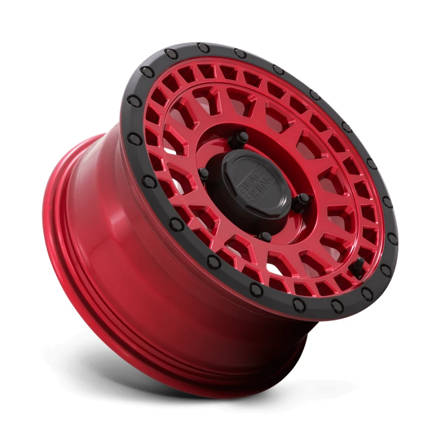 Black Rhino Powersports PARKER UTV BEADLOCK, фото 2