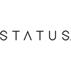 Логотип Брендовые литые диски Status