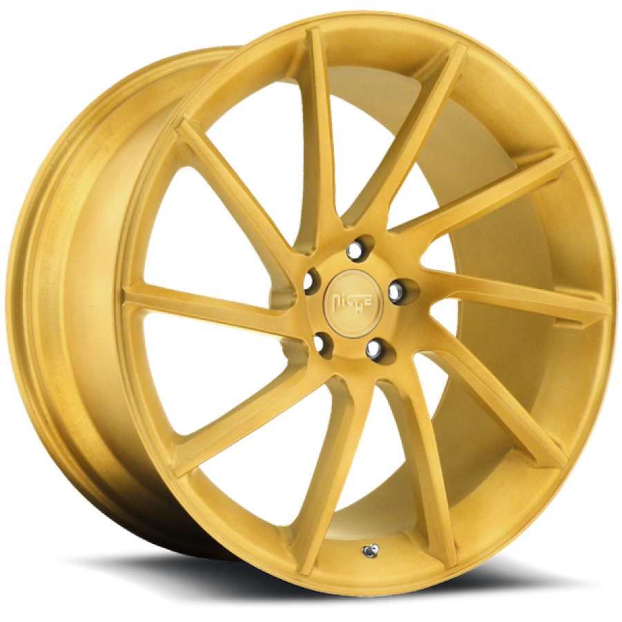 Модель Niche RS10